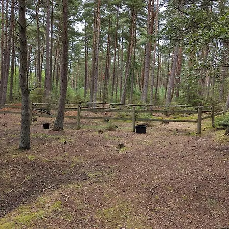 4 Person In Σπίτι διακοπών