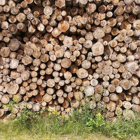 4 Person In بيت للعطل